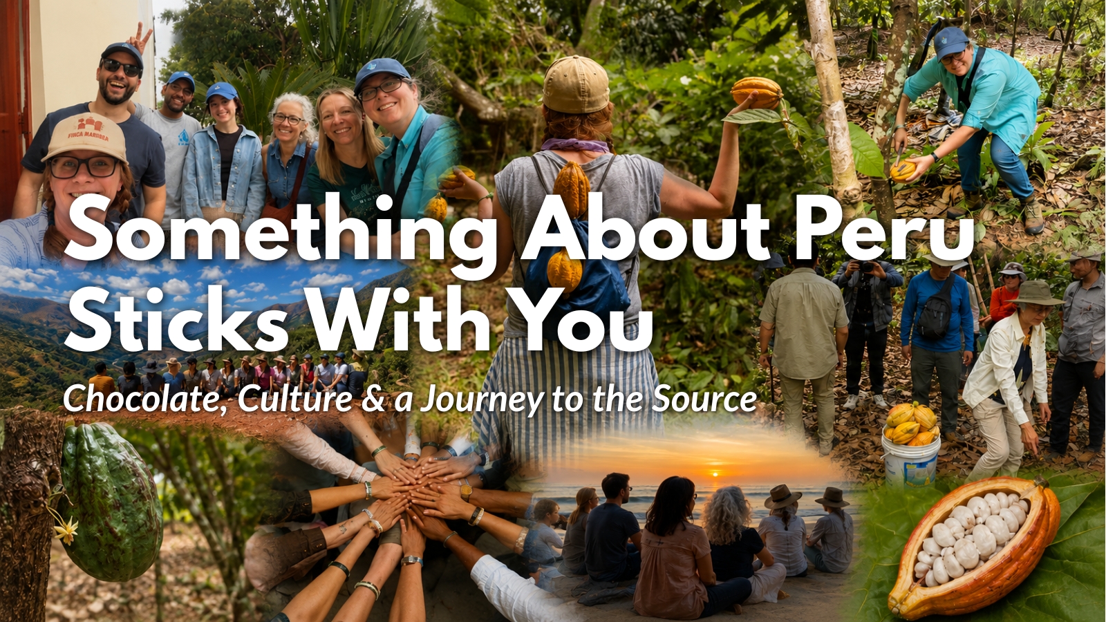 Something About Peru Sticks With You program image
